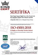 ISO45001:2018